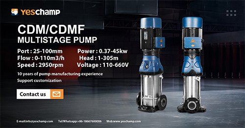 Choosing Between CDMF Stainless Steel and CDM Cast Iron Vertical Multistage Pumps